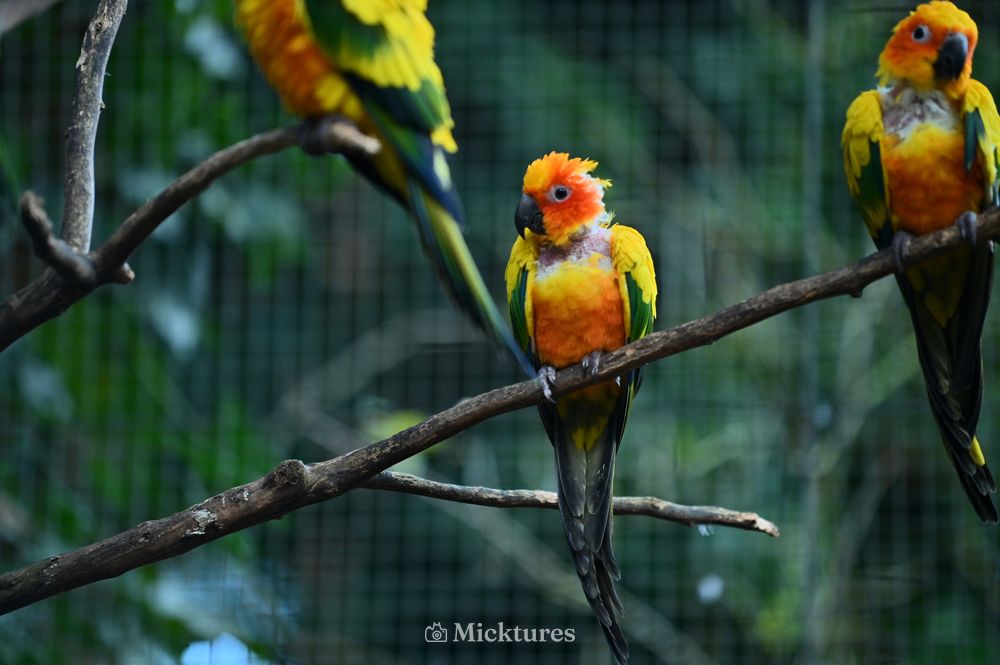 Dierentuin Amersfoort 2, photo 4