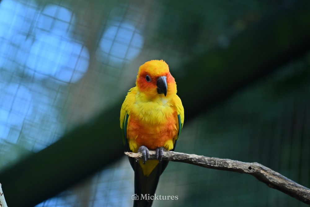 Dierentuin Amersfoort 2, photo 5