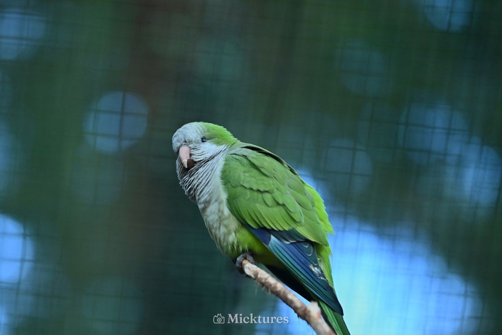 Dierentuin Amersfoort 2, photo 6