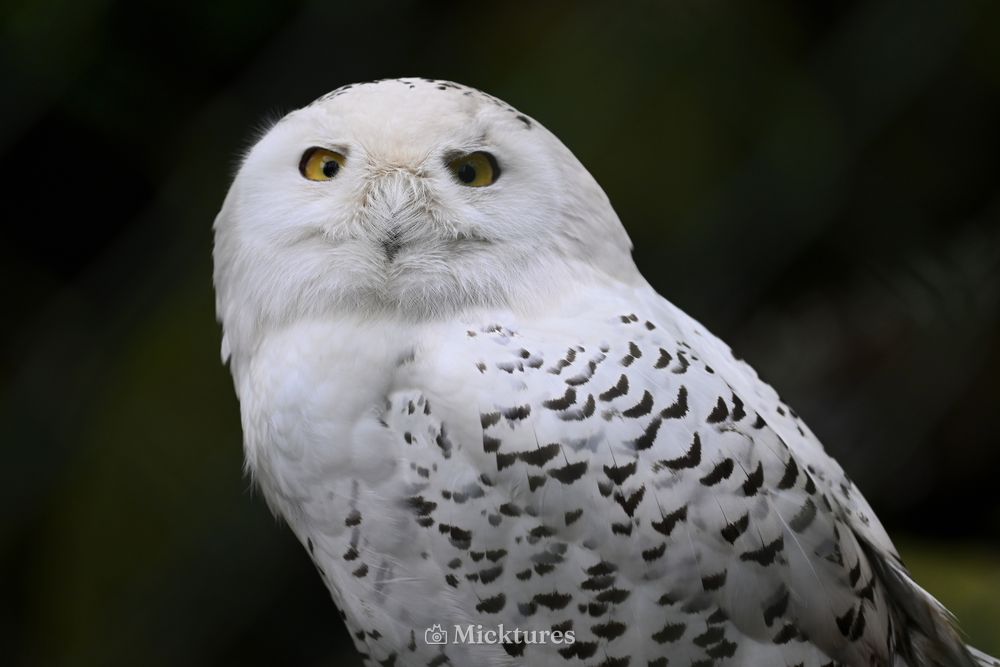 Dierentuin Amersfoort, photo 5