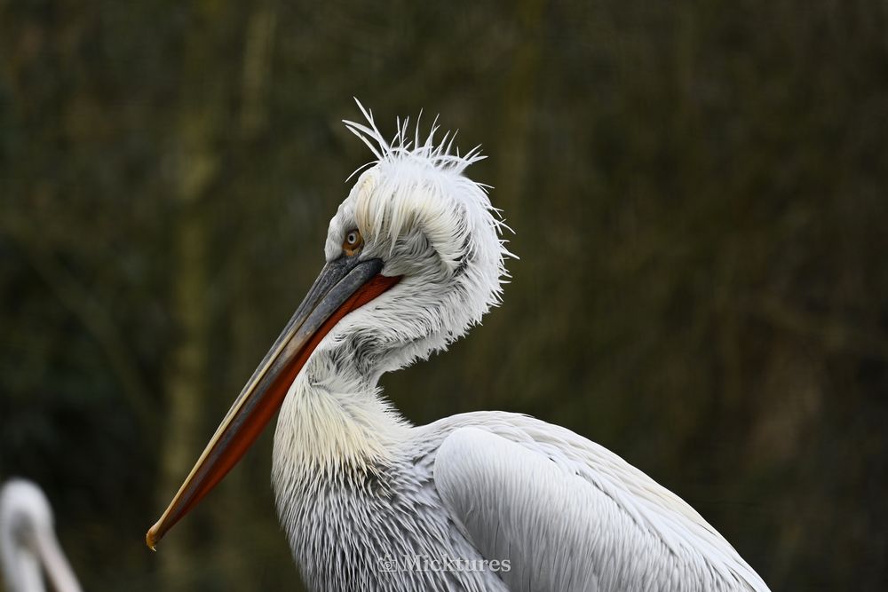Dierentuin Amersfoort, photo 24