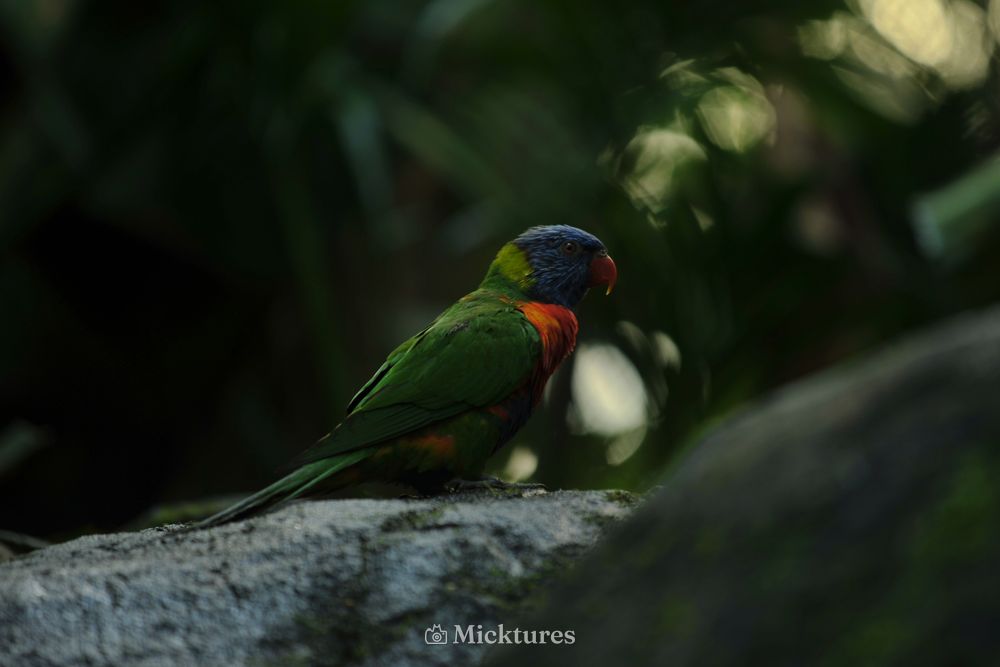 Dierentuin Emmen, photo 1