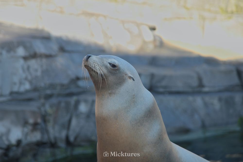 Dierentuin Emmen, photo 9
