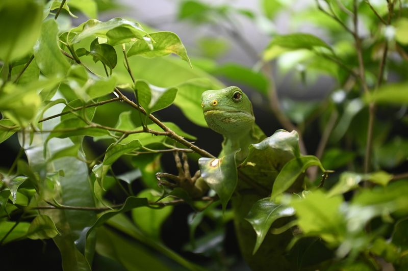 Dierentuin Amersfoort